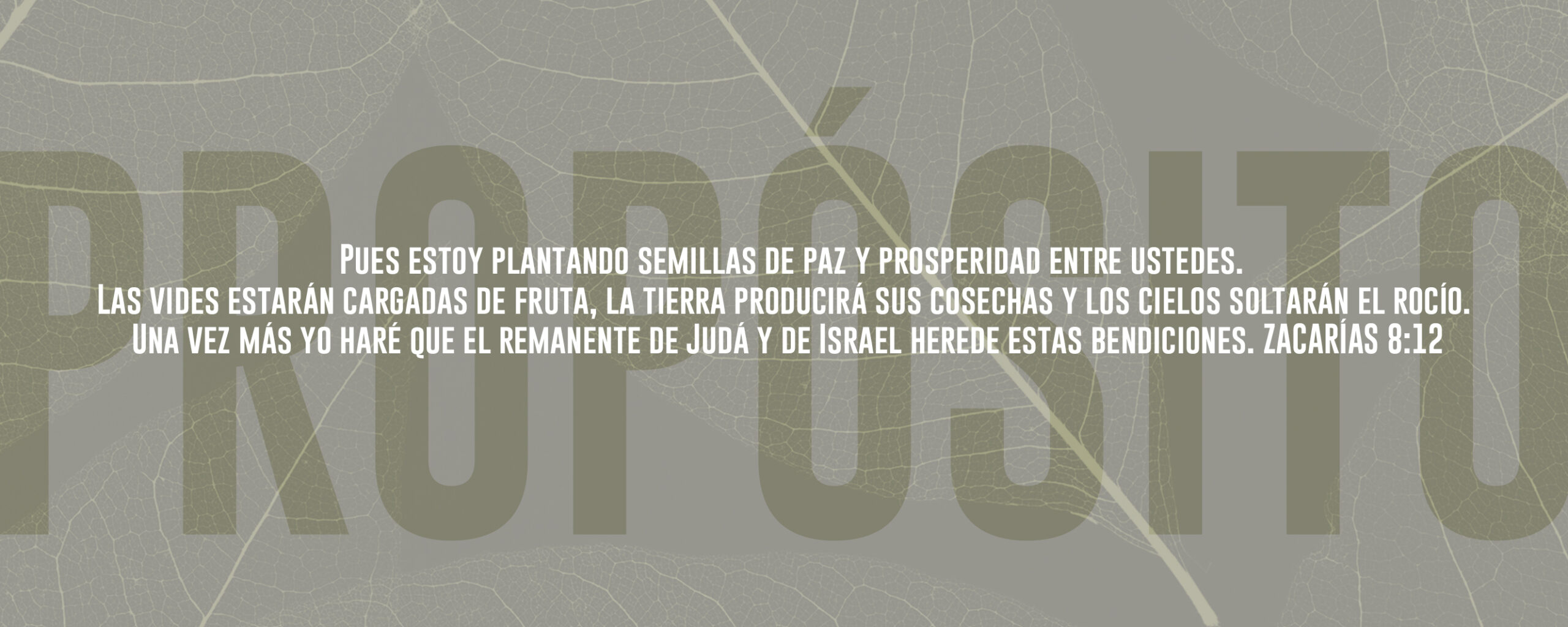 PLECA PAGINA SP-3 PORTADA
