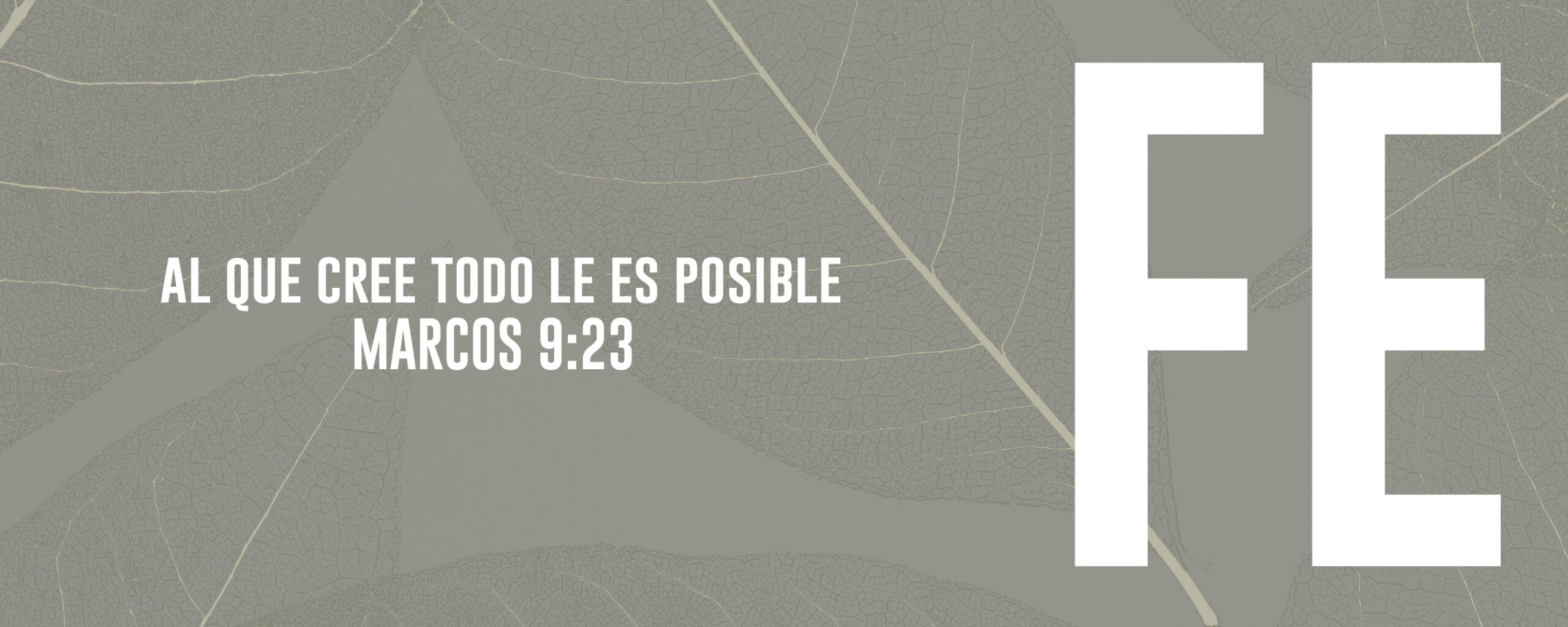 PLECA PAGINA SP-4 PORTADA